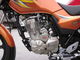 Bringen Sie abgekühlten Maschinen-Tritt des Motorrad-125cc/elektrisches Zylinder-Volumen des Anfangs149ml zur Sprache fournisseur